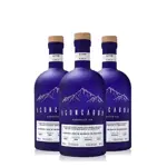 Gin Aconcagua Caja x 3