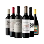 Vino Tinto Combinados Varietales Caja x 6