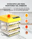 Incubadora de Huevos Automatica Gadnic Capacidad 108 Huevos Expandible Ovoscopio Giro Automático