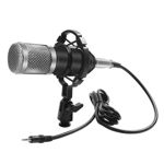 Micrófono High Electric BM-800 Negro y Plata