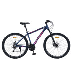 Bicicleta Mtb Overtech Mountain Bike Q6 R29 Aluminio 21v Freno A Disco Talle L Azul Rosa