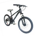 Bicicleta Fiat 500 Rodado 20 Mountain Bike 21 Vel