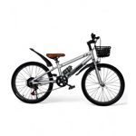 Bicicleta Mountain Bike Rodado 22 FIAT Gris