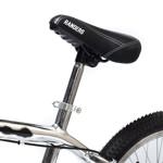 Bicicleta BMX R20 Aluminio Con Disco Rotor 360° Randers BKE-360-A
