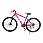 Bicicleta MTB Acero Jeico F1 R29 21v Talle M Rosa
