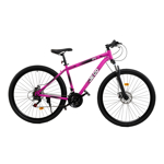 Bicicleta MTB Acero Jeico F1 R29 21v Talle M Rosa