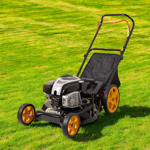 Cortadora De Césped Naftera 1,5 L Dibra R78nte Color Negro