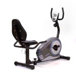 Bicicleta Fija Horizontal Ranbak 204 C/respaldo C/Disco 5 Kg