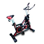 Bicicleta Spinning Indoor Ranbak 102 Disco 13kg