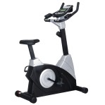 Bicicleta Fija Ranbak 440 Electromagnética 160kg - 8 Niveles C/disco 7 kg