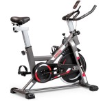 Bicicleta Fija Spinning Randers ARG-874SP 13 Kg