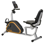 Bicicleta Fija Horizontal Athletic 300BH Disco 5kg