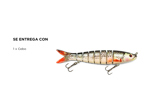 Cebo de Pesca Linnhue SENF17SH Señuelo Duro para Peces