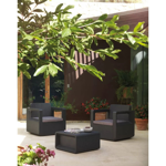 Juego Living Exterior Jardín Berner Simil Ratan Set Venus