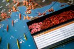 Juego de mesa Renegade Axis & Allies: 1940 Pacific 2nd Ed Age 1