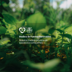 Placard Madesa Mônaco Ropero Con 3 Puertas Corredizas 1 Espejo 170x205x51