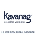 Colchón Coral Espuma Alta Densidad Queen 160x190x24 cm