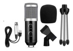 Micrófono Condenser Profesional Unidireccional Bm-200fx