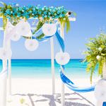 Abanicos de papel plegables Bestage, 60 unidades, color blanco, para bodas