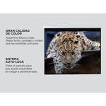 Pantalla Proyector Gadnic 100" + Tripode