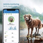 Dog Tracker GPS TRACTIVE Lte - Localizador