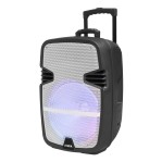 Parlante Bluetooth Portátil 15 Pulgadas Aiwa Aw-p1510d-sn