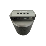 Parlante Potenciado Panacom Sp1310 Bluetooth Aux Radio Negro