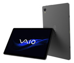 Tablet Vaio 10,4  Lcd Tl10a