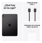 iPad Pro 11 Wifi + Cellular 2 Tb - Negro Espacial