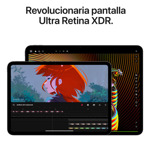 iPad Pro 11 Wifi + Cellular 2 Tb - Negro Espacial