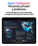 iPad Air 11 M3 Wifi 256gb - Gris Espacial