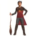 Disfraz Harry Potter Nimbus 2000 Escoba Estándar Marrón
