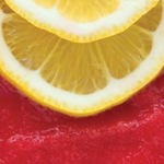 Máquina para hacer granizados ZOKU Jumbo Compact Red sin BPA