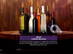 Aireador Oxigenador Gadnic Decantador Para Vino Botella