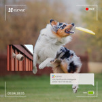 Ezviz Camara Ip H1c Wifi 1080p Interior Cs-h1c