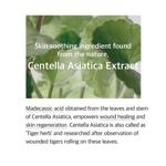 Mezcla de esencia: extracto de cica soondy centella asiática, 100 ml