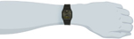 Casio AW48HE-8AV Reloj negro Ana-Digi de doble hora para hombre