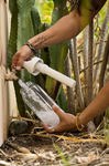 Botella con filtro de agua LifeStraw Go Series sin BPA