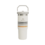 Botella Stanley Flip Straw Tumbler 887Ml - Ash Stripe