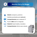 Mochila de Viaje Carry On para Cabina de Avion Porta Notebook Waggs Gris