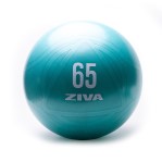 Set Kit Funcional Ziva Mancuernas Gym Ball 65 cm Soga