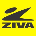 Medicine Ball ZIVA 2 kg Profesional Textura