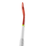 PALO DE HOCKEY BALLING - CONTROL 75 PROBOW CORAL 375 (SBCPB375)