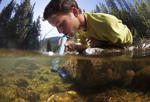 Filtro de agua LifeStraw Personal para senderismo, acampada, paquete de 3