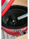 Parrilla Kamado Bbq Grill Kadu K25 Ahumador Ceramico Rojo