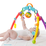 Gimnasio De Bebe Fold And Go Playgym
