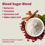 Snap Supplements Blood Sugar Blend - Support Healthy Blood Sugar, 60 Count