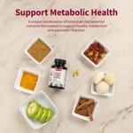 Snap Supplements Blood Sugar Blend - Support Healthy Blood Sugar, 60 Count