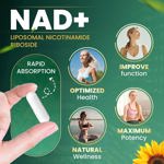 Suplemento Podafu NAD+ Nicotinamida liposomal Riboside 80 Ca