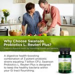 Suplemento Swanson L. Reuteri Probiotic Plus 30 cápsulas vegetarianas